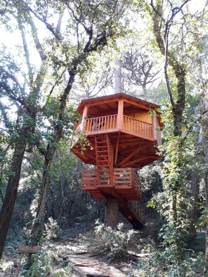 Cabanes Dosrius Canyamas Exterior photo