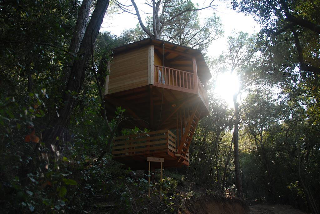Cabanes Dosrius Canyamas Exterior photo