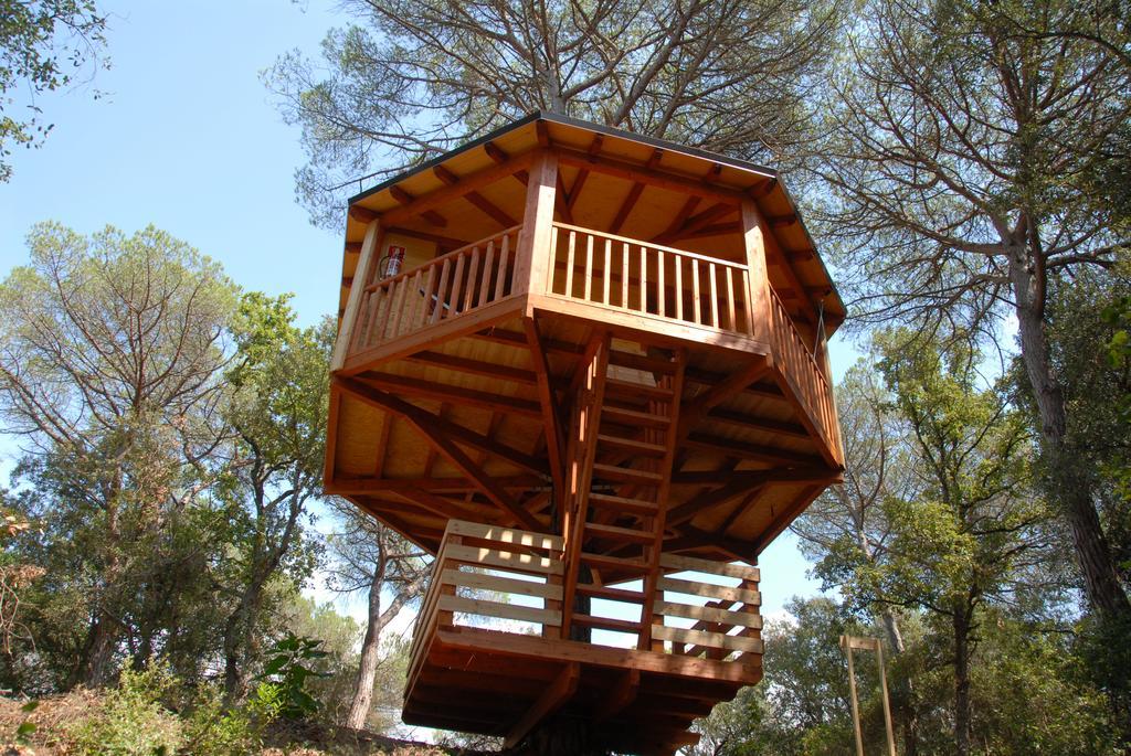 Cabanes Dosrius Canyamas Room photo